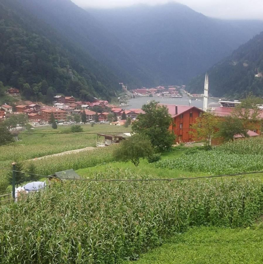 Aparthotel Zeren Apart Uzungöl Exterior foto